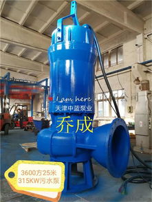 北方污水處理廠wq潛水排污泵