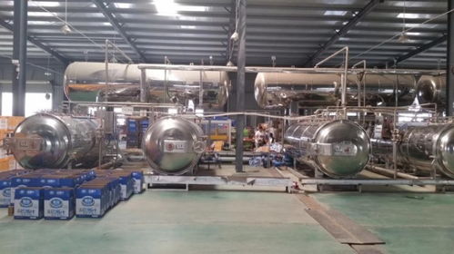 電加熱高溫殺菌鍋百冠定制鹵蛋高壓滅菌鍋