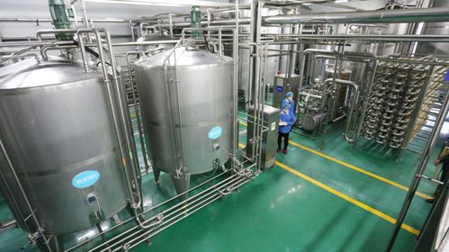 什么是蒸汽烹飪技術 燃氣蒸汽發(fā)生器用于食品加工,均勻加熱營養(yǎng)不流失