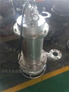 wjqx 全不銹鋼排污泵 排污效果工 廠 處理污泥泵